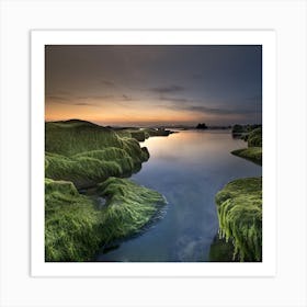 Mossy Rocks At Sunset Art Print