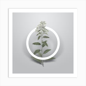 Vintage Green Cestrum Minimalist Flower Geometric Circle on Soft Gray n.0402 Art Print