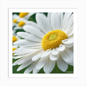 Daisy 3 Art Print