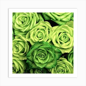 Green Roses Art Print