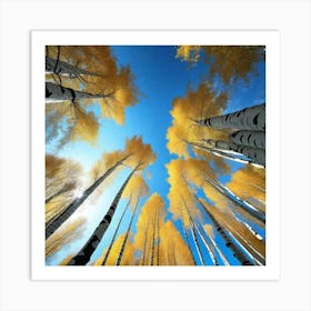 Aspen Trees In Autumn Art Print