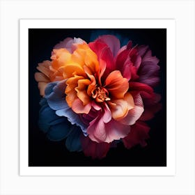 Flower On A Black Background Art Print