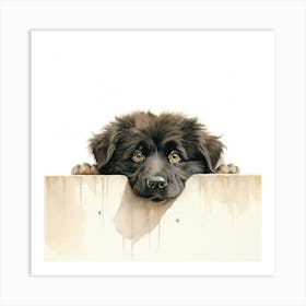 Dog Peeking Over A Fence 1 Art Print