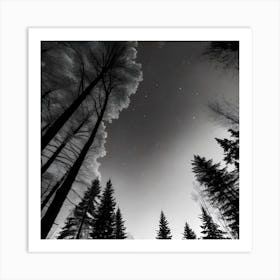 Black And White Forest 3 Art Print