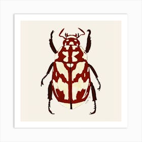 Red Beetle Square Art Print