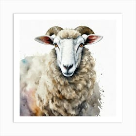 Sheep Watercolor Art Print