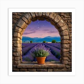 Lavender Field Art Print