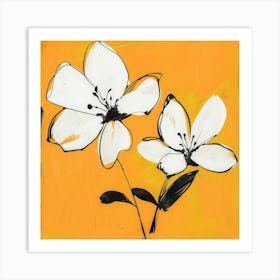 Two White Flowers Art Print