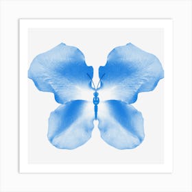 Blue Rose Petal Butterfly Art Print