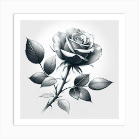 Rose Flower Pencil Sketch Drawing Art Print