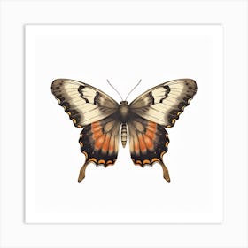 Butterfly 11 Art Print