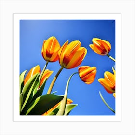 Tulips Against A Blue Sky Art Print