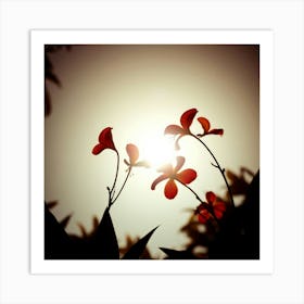 Flowers beautiful Art Print