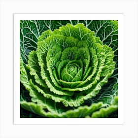 Close Up Of A Green Cabbage Art Print