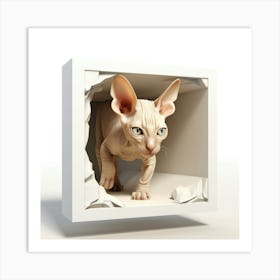 Sphynx Cat 4 Art Print