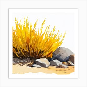 Editorial Art White Background Acropora 1 Art Print