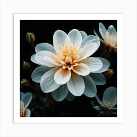 White Dahlia Flower 2 Art Print