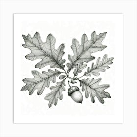 Line Art oak leaves 3 Art Print