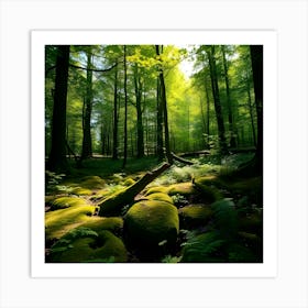 Mossy Forest 6 Art Print