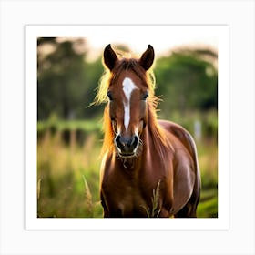 Grass Horse Mammal Animal Head Steady Offspring Beauty Riding Horse Mare Dam Cute Streng (5) Art Print