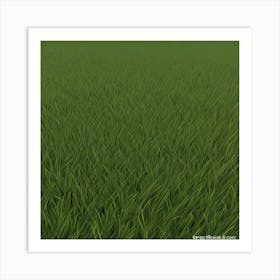 Grass Field 22 Art Print