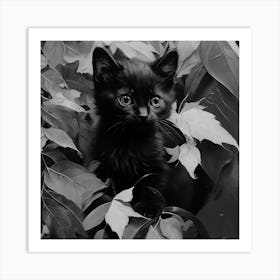 Black and White Black Kitten In Leaves 5 Art Print