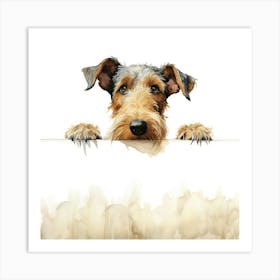 Irish Terrier Art Print