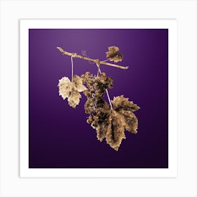 Gold Botanical Grape Colorino on Royal Purple n.2799 Art Print