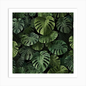 Monstera Leaves On A Black Background Art Print