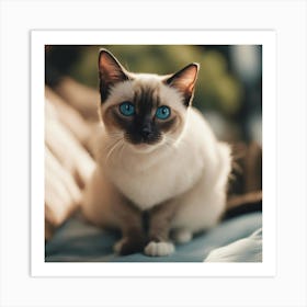 Siamese Cat 3 Art Print