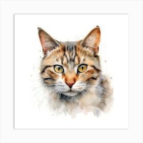 Sokoke Cat Portrait 1 Art Print