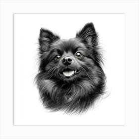 Keeshond 1 Art Print