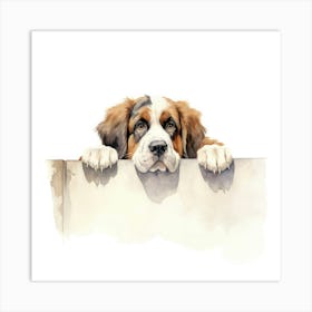 St Bernard Dog Art Print