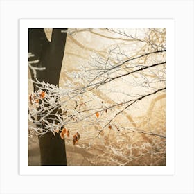 Frosty Trees Art Print