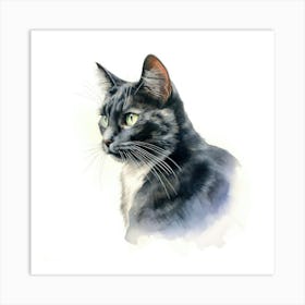 Chartruex Cat Portrait Art Print