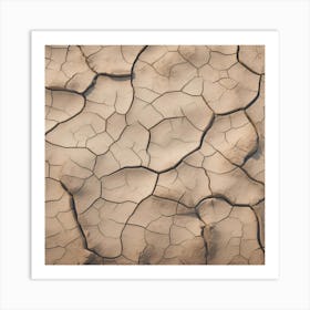 Dry Land 2 Art Print