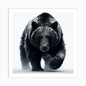 Black Bear Art Print