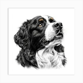 Bernese Mountain Dog 1 Art Print