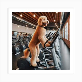 Dog On Exercise Bike Art Print