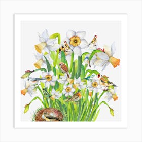 Daffodils And Birds Art Print