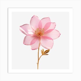 Pink Sheer Flower Trimmed In Gold Glitter With A Stem On A Plain White Background 3d 193313612 Art Print