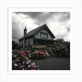 Black And White House Art Print