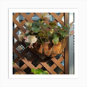 Hanging Basket Art Print