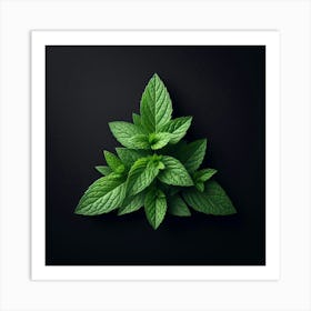 Green Mint Leaves On Black Background Art Print