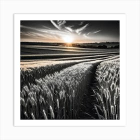 Sunset In A Wheat Field 7 Art Print