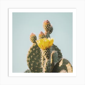 Yellow Cactus Flower Art Print