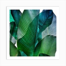 Bali Palm Leaves Blue And Green Square Art Print