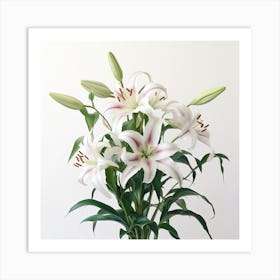 White Lilies Art Print