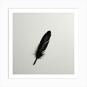 Black Feather Art Print