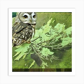 Owl On A Branch Art Print